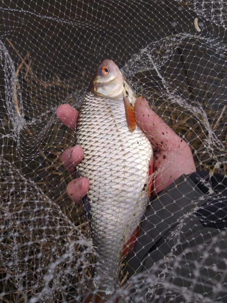 как ловить маховой удочкой на течении (8).jpg